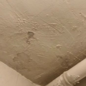 Sompo Yaşadığım Mağduriyetin Giderilmesini İstiyorum