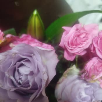 Çiçek Sepeti'nden Çürük Güller Teslim Edildi, Ücret İadesi Talebi