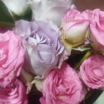 Çiçek Sepeti'nden Çürük Güller Teslim Edildi, Ücret İadesi Talebi