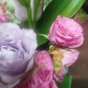 Çiçek Sepeti'nden Çürük Güller Teslim Edildi, Ücret İadesi Talebi