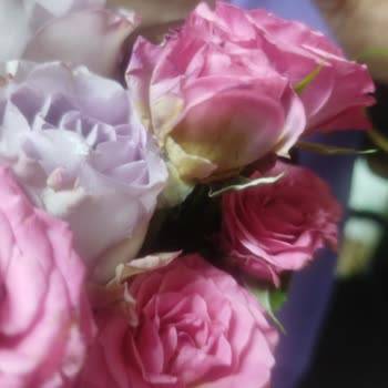 Çiçek Sepeti'nden Çürük Güller Teslim Edildi, Ücret İadesi Talebi