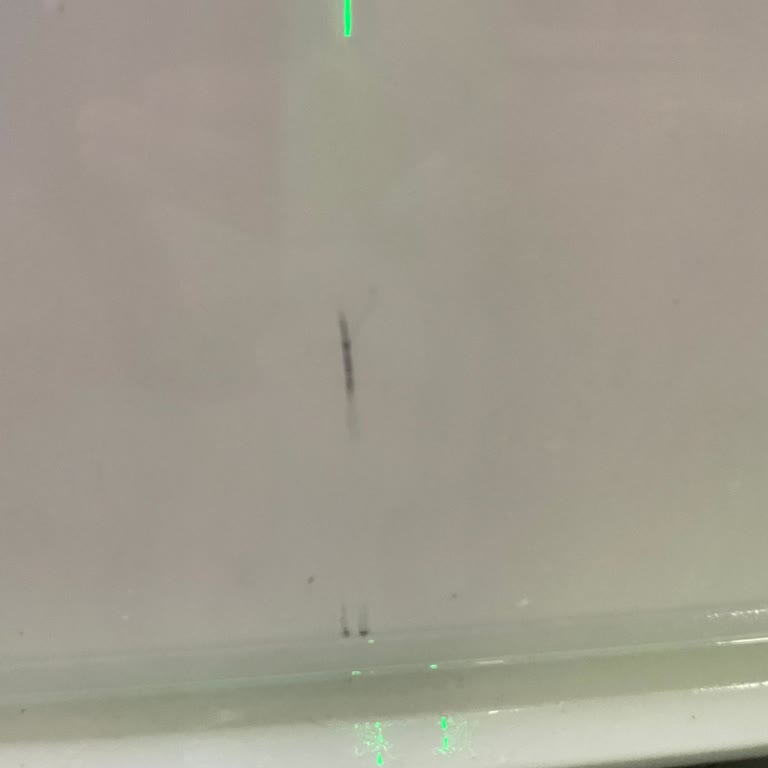 Garenta'da Küçük Çizik İçin 4.400 TL Ücret Ve Şeffaflık Eksikliği