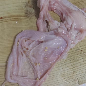 BİM Dumlu Şubesinde Temizlenmemiş Tavuk Şikayeti Ve İade Talebi