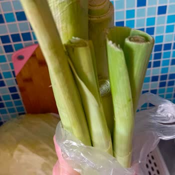 Teslimat Aşımı, Bozuk Ürünler Ve Destek Eksikliği