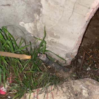 Yıkılan Bina Nedeniyle Türk Telekom Kablosu Kesildi, İnternet Yok, Acil Çözüm Bekliyorum