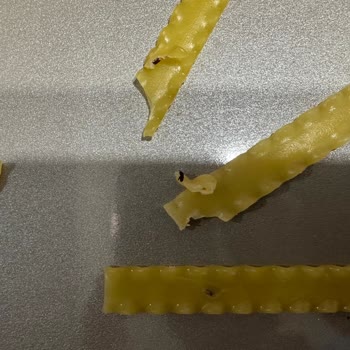 Barilla Makarnasında Böcek Görüldü, Hijyen Ve Kalite Kontrolü Sorgulandı