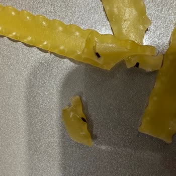 Barilla Makarnasında Böcek Görüldü, Hijyen Ve Kalite Kontrolü Sorgulandı