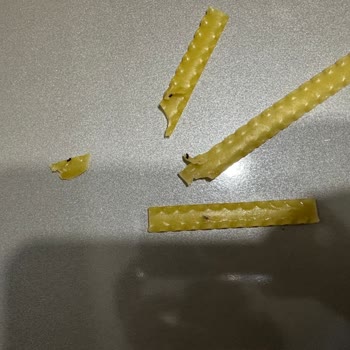 Barilla Makarnasında Böcek Görüldü, Hijyen Ve Kalite Kontrolü Sorgulandı