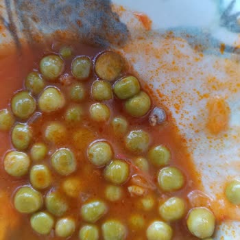 Şok Market Dondurulmuş Bezelyede Salyangoz Yavrusu