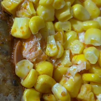 Kumpirde Saç Görülmesi Hijyen Sorunu