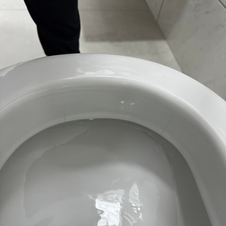 Vitra S50 Asma Klozet Çatlağı Ücretsiz Değişim Talebi