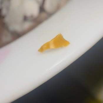 Algida Viennetta Dondurmasında Plastik Cisim Bulundu