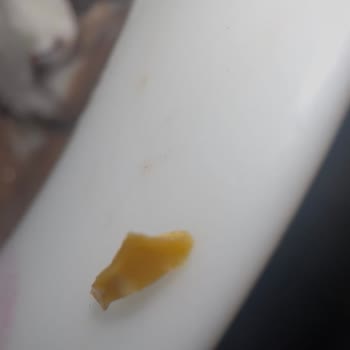 Algida Viennetta Dondurmasında Plastik Cisim Bulundu