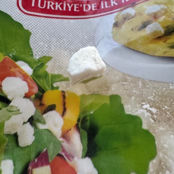 Bahçıvan Beyaz Peynirde Kıl Tespiti Hijyen İhlali