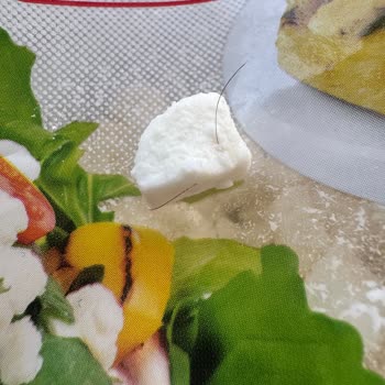 Bahçıvan Beyaz Peynirde Kıl Tespiti Hijyen İhlali
