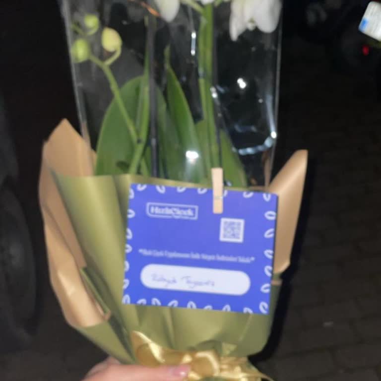 Hızlı Çiçek Şikayeti