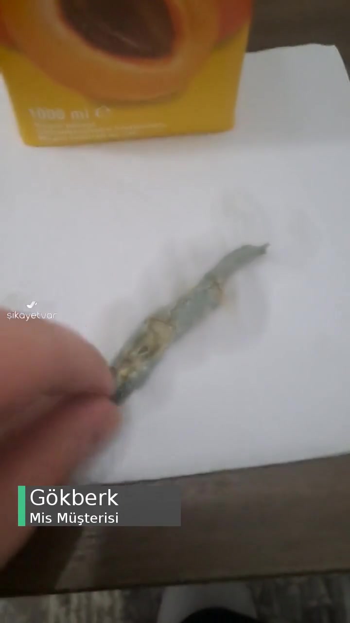 Mis Kayısı Nektarında Küf! videonun kapak resmi