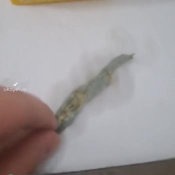 Mis Kayısı Nektarında Küf!