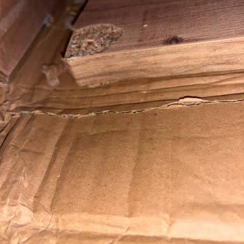 Kolay Gelsin Şikayeti