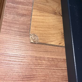 Kolay Gelsin Şikayeti