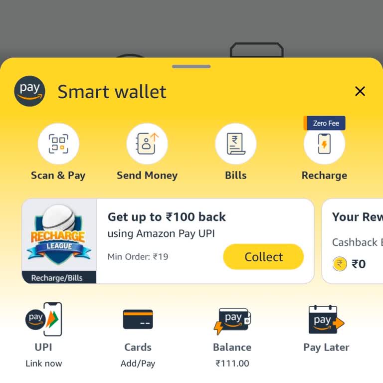 Amazon Pay Balance Not Usable After Adding ₹111 From Fampay
