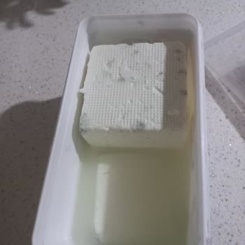 Torku Beyaz Peynirde Erken Küflenme Ve İade Talebi