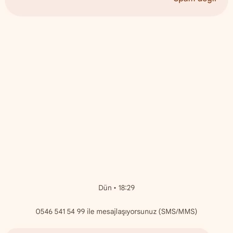 İnfaz Bilgisi İçeren Yanıltıcı SMS Ve Kişisel Veri İhlali