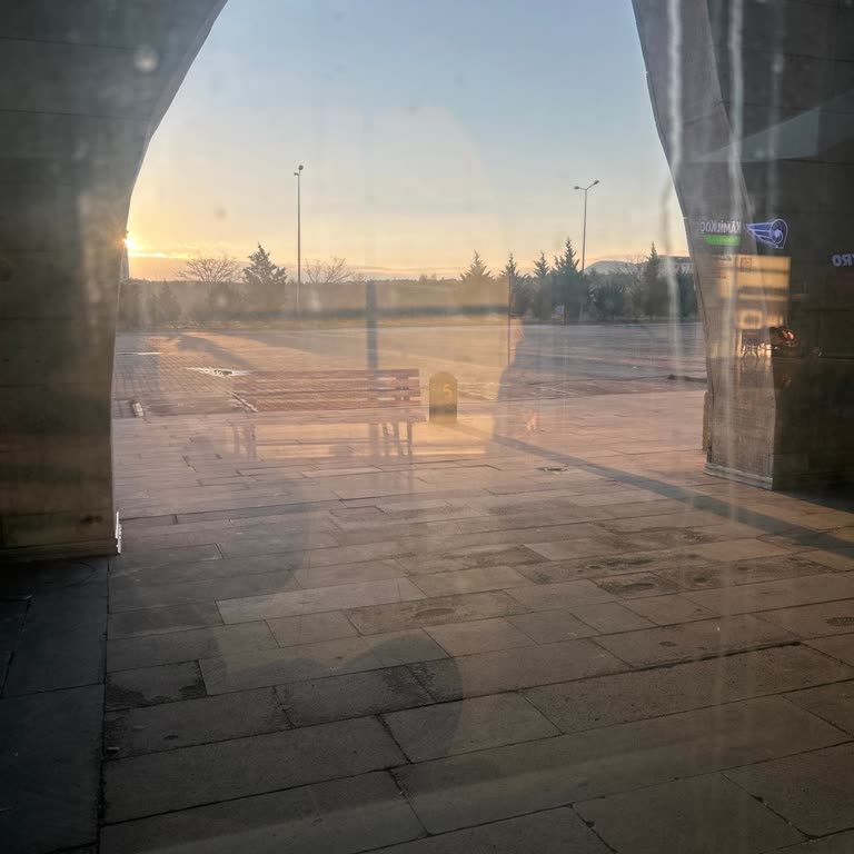 Lüks Karadeniz’in Sürekli Gecikmesi Nedeniyle Ücret İadesi Ve Sefer Saatlerinin Yeniden Düzenlenmesi Talebi