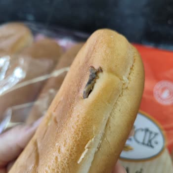 BİM Markette Ekmecik Sandviç Ekmeğinde Böcek Bulunması Ve Hijyen Denetimi Talebi