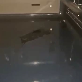 İlk Kullanımda Fırın Leke Ve Servis Talepleri Üzerine Şikayet