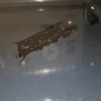 İlk Kullanımda Fırın Leke Ve Servis Talepleri Üzerine Şikayet