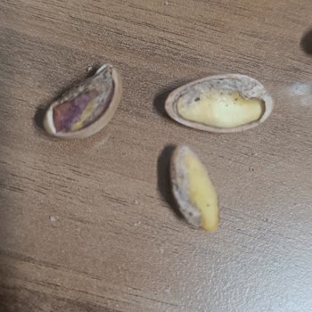 Migros Sanal Market’te Bayat Ve Küflü Antep Fıstığı Şikayeti