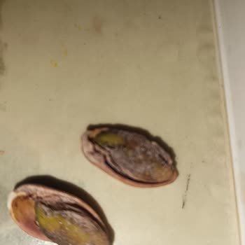 Migros Sanal Market’te Bayat Ve Küflü Antep Fıstığı Şikayeti