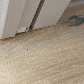 Gardırop Hasarlı Geldi, Müşteri Hizmetleri Çözüm Sağlamadı, İade Talebi