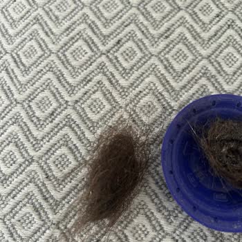 Saç Toplama Sorunu Ve Vidalı Tekerlek Tasarımı Müşteriyi Mağdur Ediyor