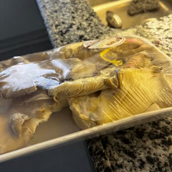 Küflü Mantar Ve Eksik Maydanoz Şikayeti