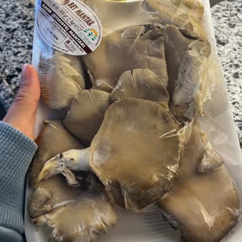 Küflü Mantar Ve Eksik Maydanoz Şikayeti