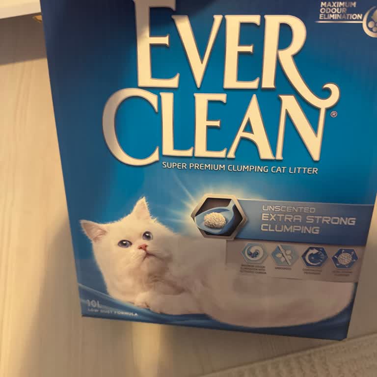 Ever Clean Kedi Kumu Sahte Şüphesi Ve Pazarama’nın Cevapsız Müşteri Hizmetleri