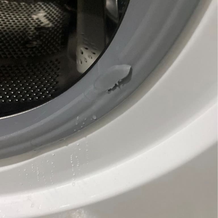 Hoover Garanti Kapsamında Kapak Lastiği Arızası Ve Islak Çamaşır Sorunu İçin Ücretsiz Tamir Talebi