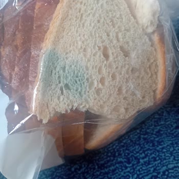 BİM Şubesinde Bozulmuş Yumurta Ve Küflü Ekmek Sağlık Riski Oluşturdu