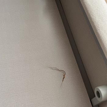 Puffy Baza Ve Başlıkta Çözülmeyen Kusurlar Ve Yeni Kırık