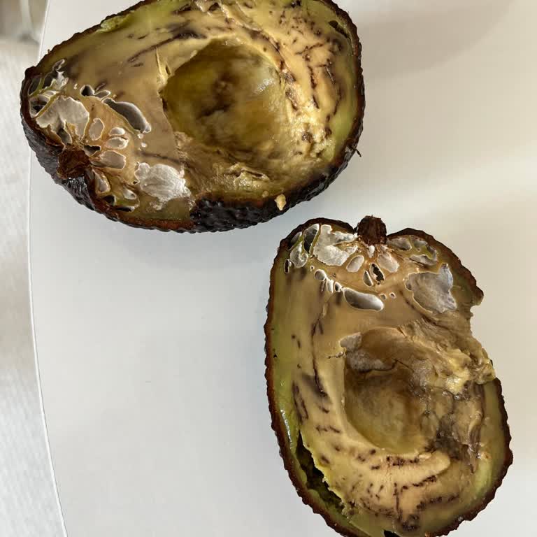 Çürük Avokado İçin İade Talebi Ve Ürün Kontrolü