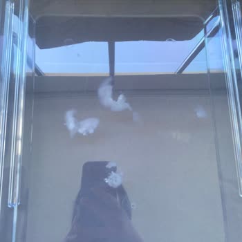 Bosch Buzdolabının Çekmecelerindeki Üretim Kaynaklı Ayıplı Lekeler