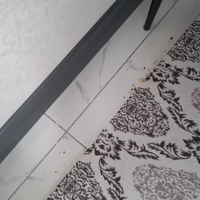 Dreame L10s Ultra Gen2 Robot Süpürge Performans Sorunu Ve Değişim Talebi