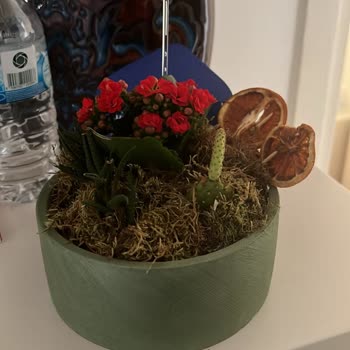 Sipariş Edilen Çiçek Görseliyle Uyuşmuyor, İade Sözleri Tutulmuyor