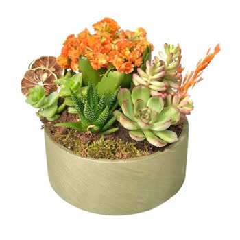 Sipariş Edilen Çiçek Görseliyle Uyuşmuyor, İade Sözleri Tutulmuyor