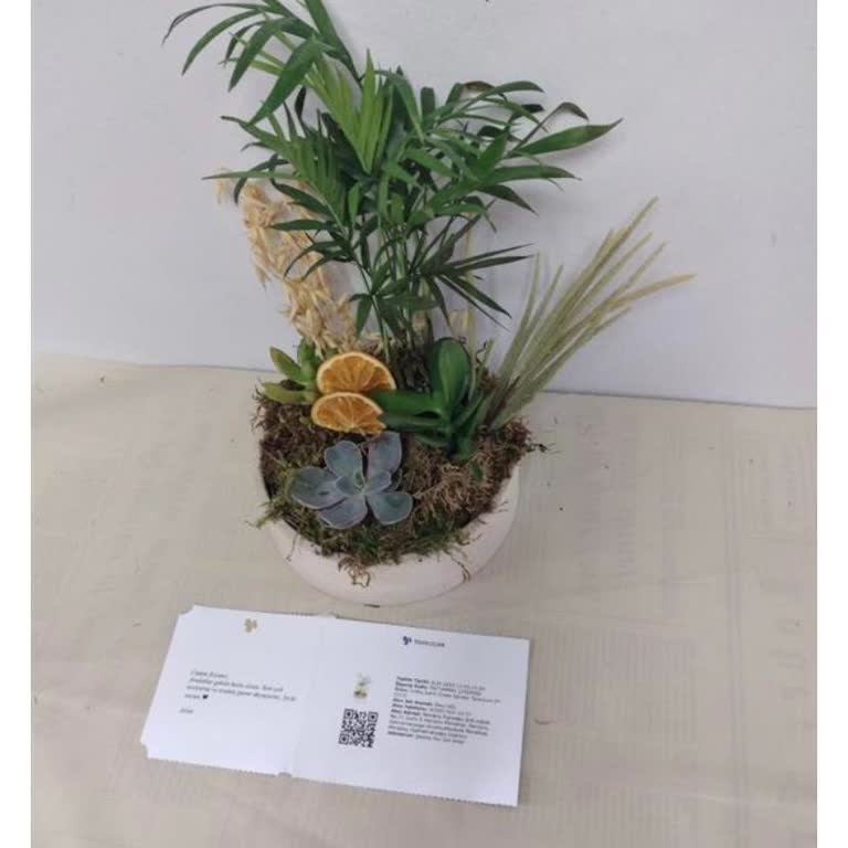 Görseldekiyle Uyuşmayan Teraryum İçin İade Veya Yeniden Gönderim Talebi