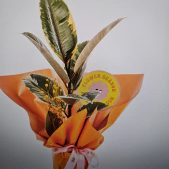 Yanıltıcı Görseller Ve Kısa Onay Süresi Nedeniyle Sipariş Otomatik Onaylandı