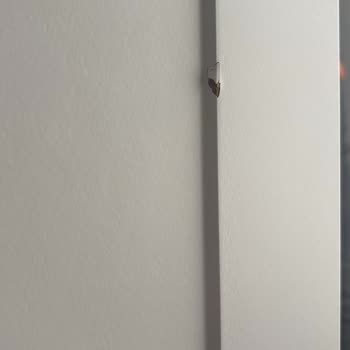 Arıgün Mobilya'dan Kırık Gardırop Kapak Değişimi İçin Sürekli Erteleme