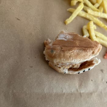 Küflü Hamburger, Sağlık Riski Ve Yetersiz İade